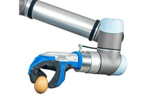 顯揚科技亮相央視直播間