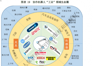顯揚科技亮相央視直播間