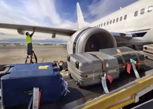 顯揚(yáng)科技亮相央視直播間